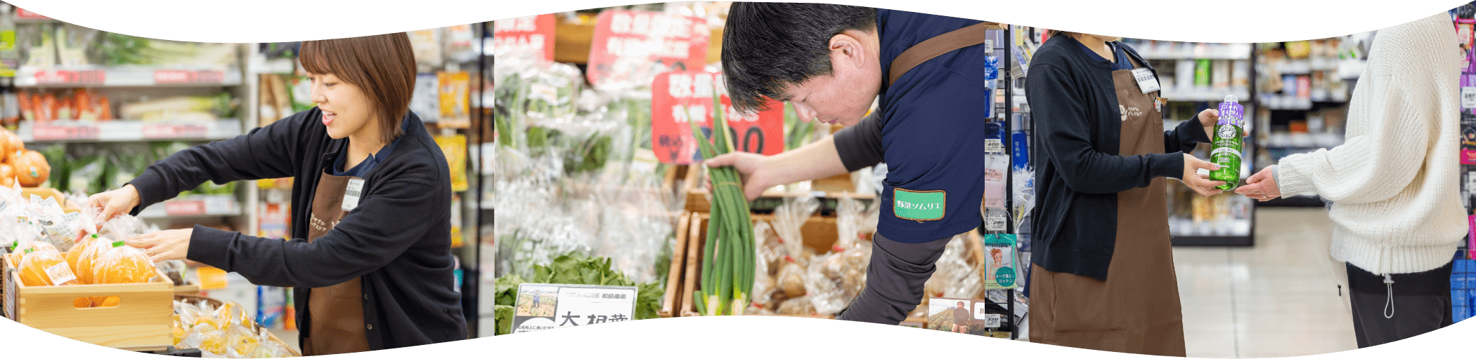 イメージビジュアル