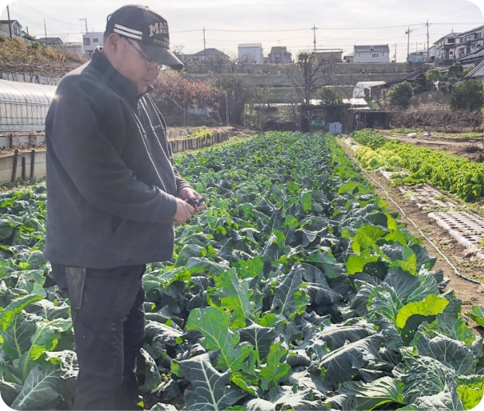 杉田農園様写真